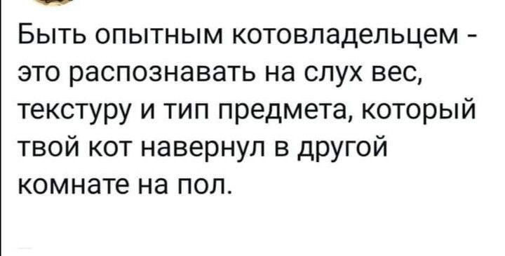 Быть опытным котовладепьцем это распознавать на слух вес текстуру и тип предмета который твой кот навернуп в другой комнате на пол