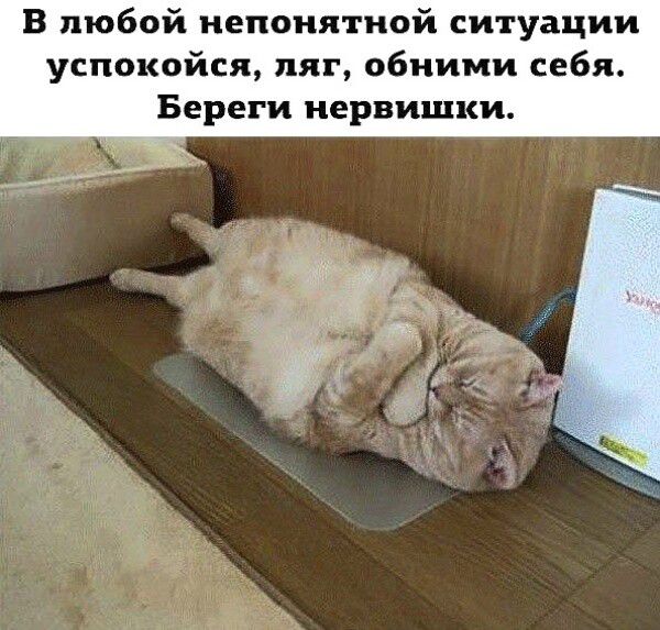 В тобой непонятной ситуации успокойся ляг обними себя Береги нервишки