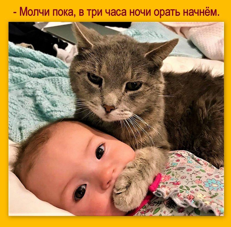 Молчи пока в три часа ночи орать начнём