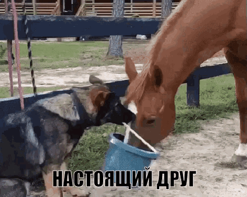 1 7 иде тощим дип