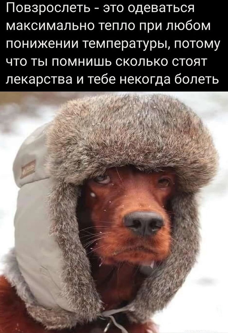 Повзрослеть это одеваться максимально тепло при любом понижении температуры потому что ты помнишь сколько стоят лекарства и тебе некогда болеть