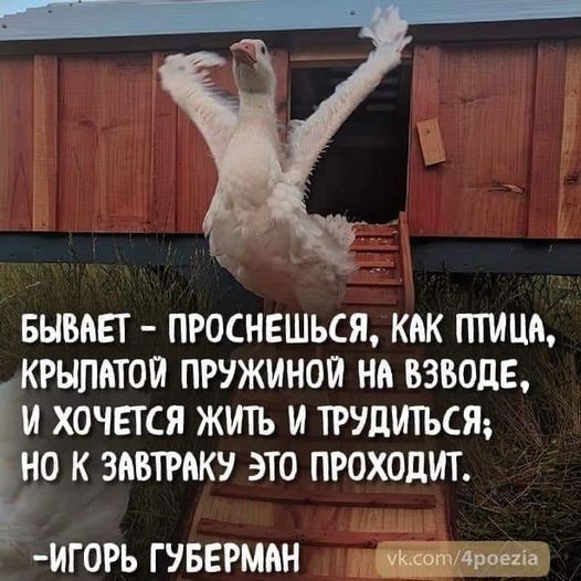 БЫВАЕТ ПРОСНЕШЬСЯ КАК ТПИЦА КРЫЛАТОП ПРУЖИНОЙ НА ВЭБОдЕ И ХОЧЕТСЯ ЖИТЬ И ТРУЦИТЬСЯ НО К ЗАВТРАК ЭТО ПРОХОДИТ ИГ0РЪ ТУБЕРМАН