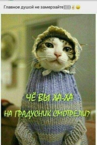 Гданиое линк на аамерзаишУпц