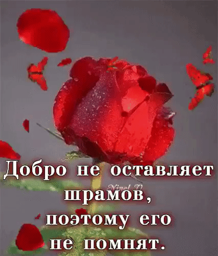 Добро не оставляет ШрЁйбЁ по__ _то_му его не Помнят