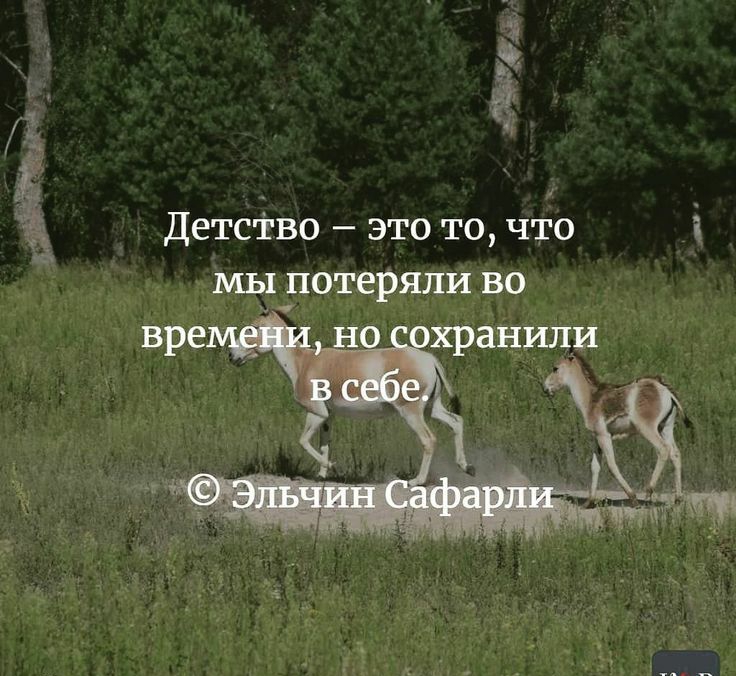 і 7 детсі во это то что 1 мы потеряли во пройден и Р