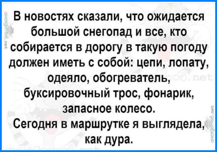 В новостях сказали что ожидается большой снегопад и все кто собирается в дорогу в такую погоду должен иметь с собой цепи лопату одеяло обогреватель буксировочный трос фонарик запасное колесо Сегодня в маршрутке я выглядела как дура