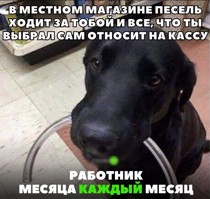 Ёвмктном миг Азии пы овойи все чЁ РДШ М ОТНОСИТ НА КАССУЦ МЕСЯЦА МЕСЯЦ