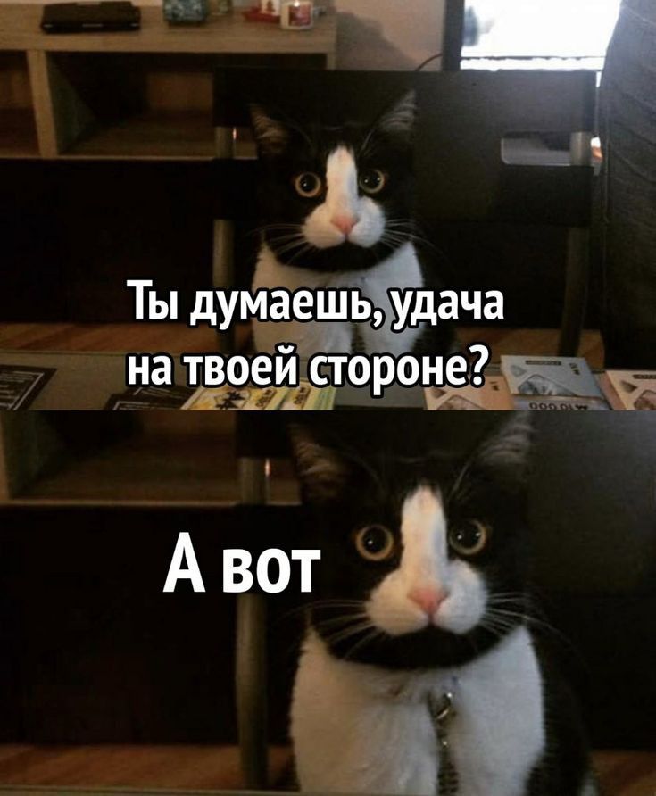 Ты дуи5е шь ьудача на твоеидсторо А воті И
