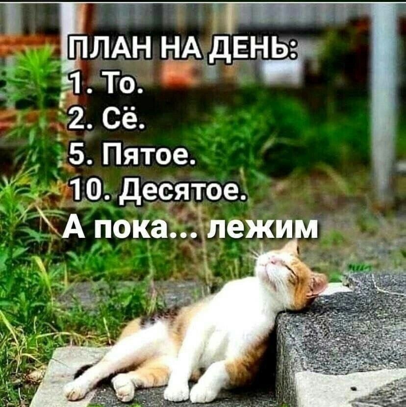 ПЛАН НА дЕНЬ _91 То 2 Сё 5 Пятое 10 дееятое А пока пежи