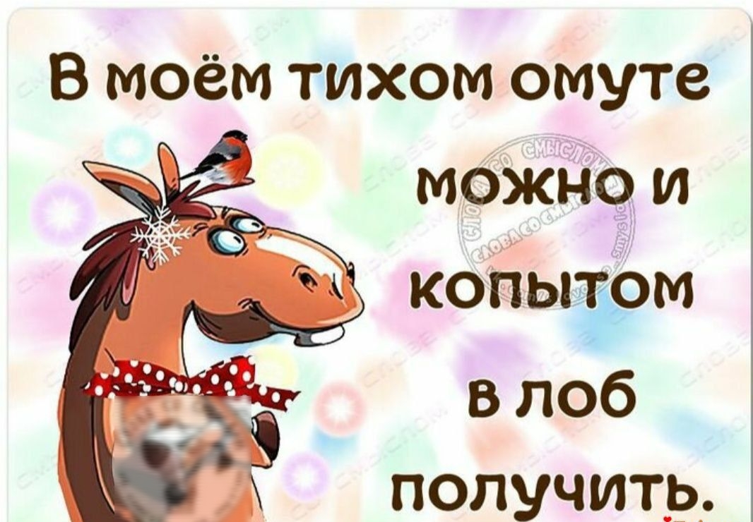 В моём тихом омуте в лоб ПОПУЧИТЭЬП