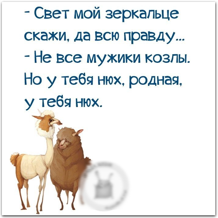 Свет мой зеркальце скажи да Всю правду Не Все мужики козлы Но у тебя нюх родная у тебя нюх
