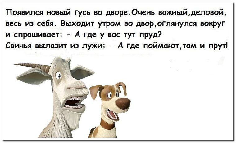 Пол имя шый гусь ю шредчшь шишнйщилоюй из из выход том и шрлгллиуш ююуг трещин _ А гм у и т пруд сш шам из лужи _ А где пойматдам и друг