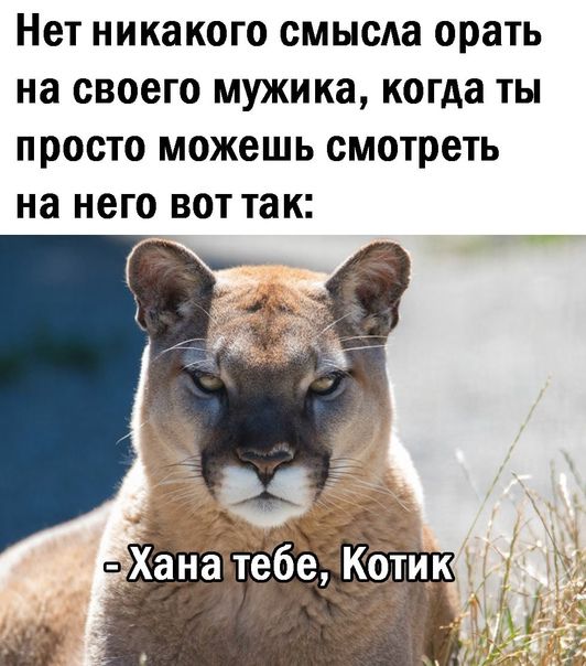 Нет НИКЭКОГО СМЫОАЭ орать на СВОЕГО мужика когда ТЫ ПРОСТО МОЖЕШЬ смотреть на НЕГО ВОТ так
