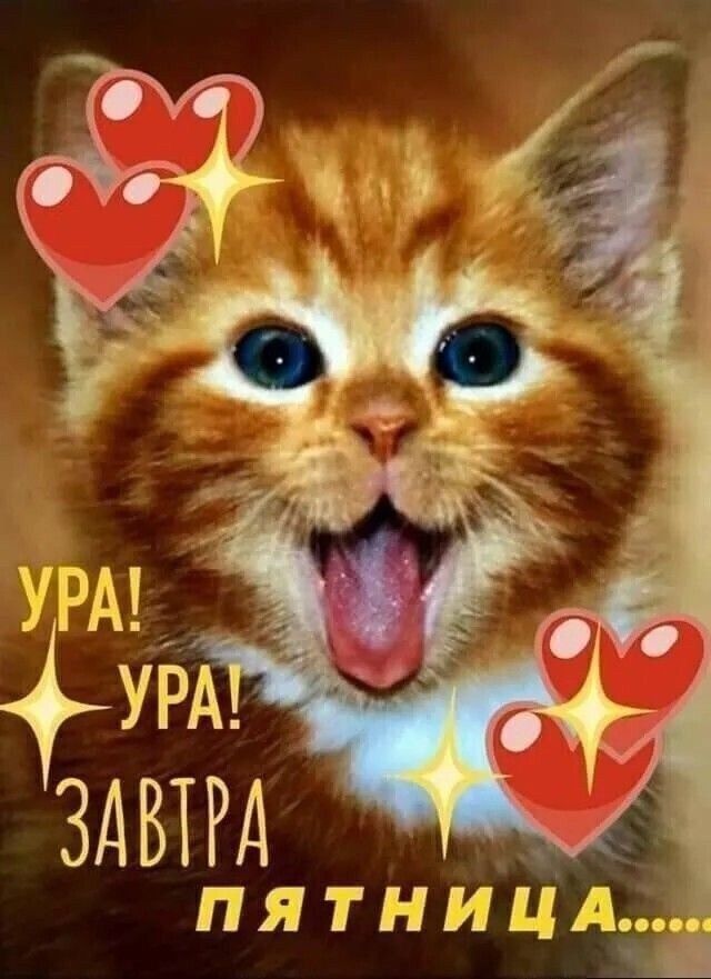 УРА УРА ЗАВТРА пятниЦд ч