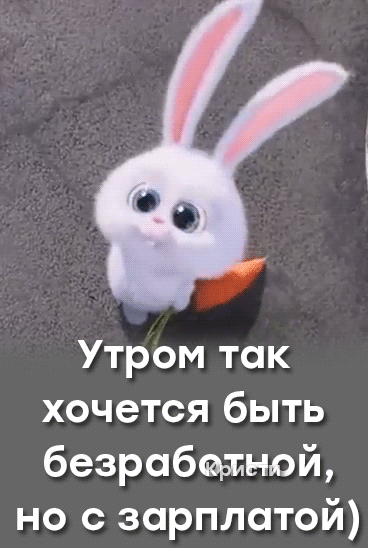 Утром так хочется быть безрабедпной но с зарплатой
