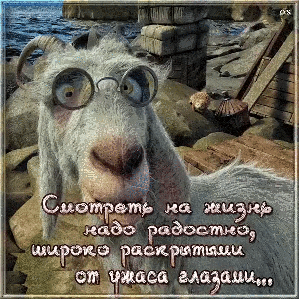 лшті на а _ кайф Радостно щигокъ Рё Рщтщиц рт жцса амп дд