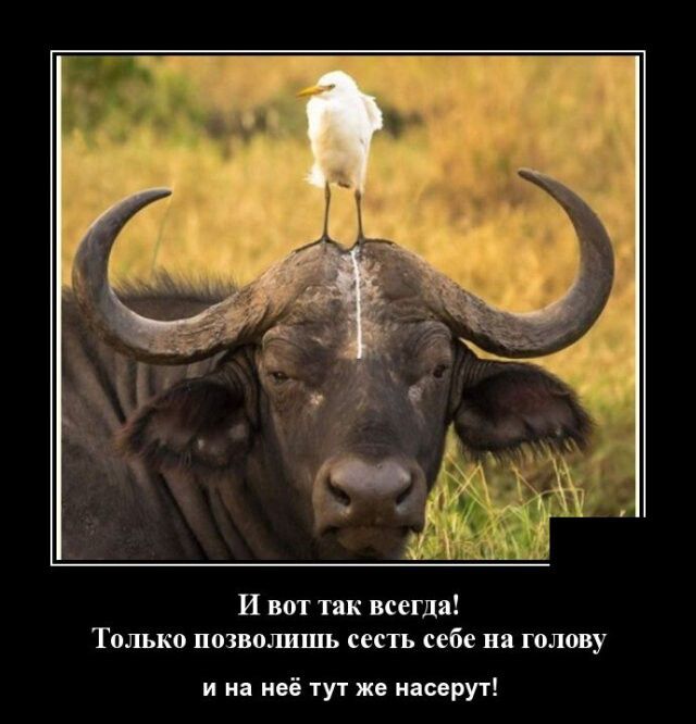 и вот так меня Только пшшшшь шп себе на полпву и на неё тут же асерут
