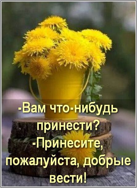 ёам что иЁудь _ принёсти _ Пригнщё пожалуйста добЪые вести _ г