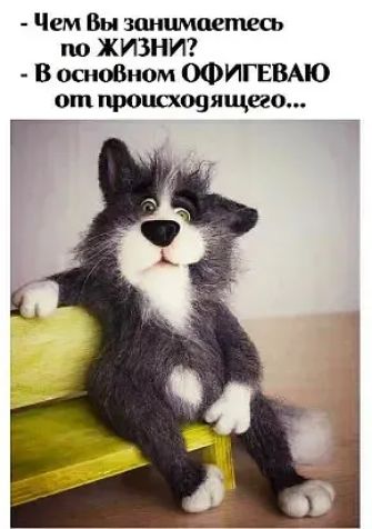 Чем Вы занимаетесь по ЖИЗНИ В ОСНОВНОМ ОФИГЕВАЮ от происхо9ящао