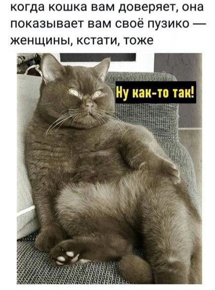 когда КОШКЗ вам доверяет она ПОКЭЗЫВЗеТ вам СВОЁ ПУЗИКО _ женщины кстати ТОЖЕ