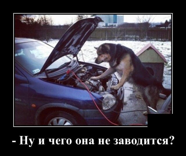 Ну и чего она не заводится