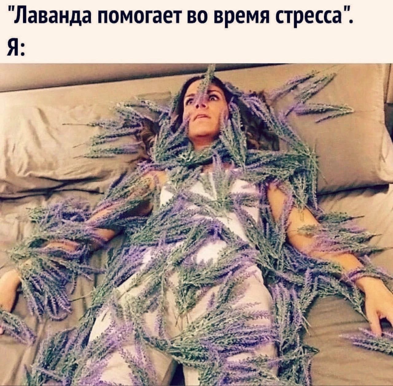 Лаванда помогает во время стресса Я