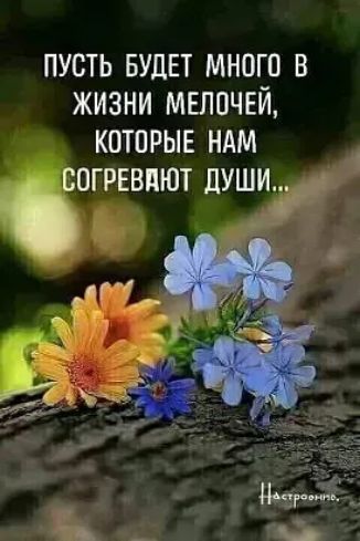 ПУСТЬ БУДЕТ МНОГО В ЖИЗНИ МЕЛПЧЕЙ КОТОРЫЕ НАМ ВОГРЕВПЮТ ДУШИ _ __иг дд