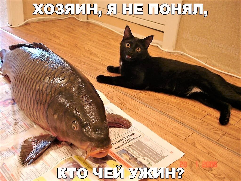ЖФЁЗШГЯЩ ЁЁ ЩЁШБ _