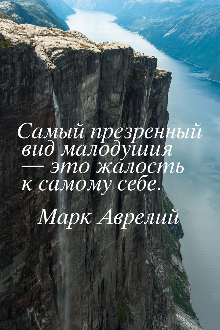 ч Самый презіен вид чмалодуш и о жалос самому себе Мрк Авреди