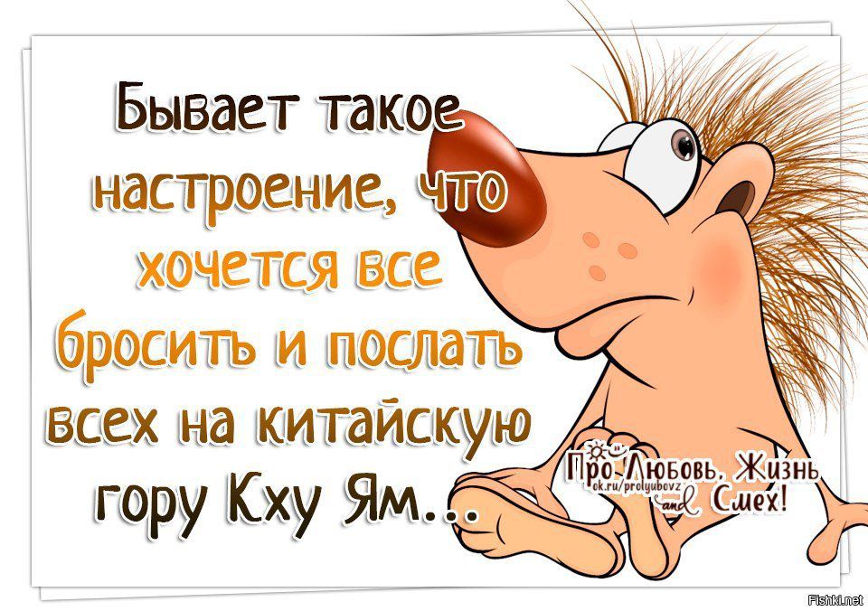 хочетсявсе росипъ и ышошать всех на китайскую