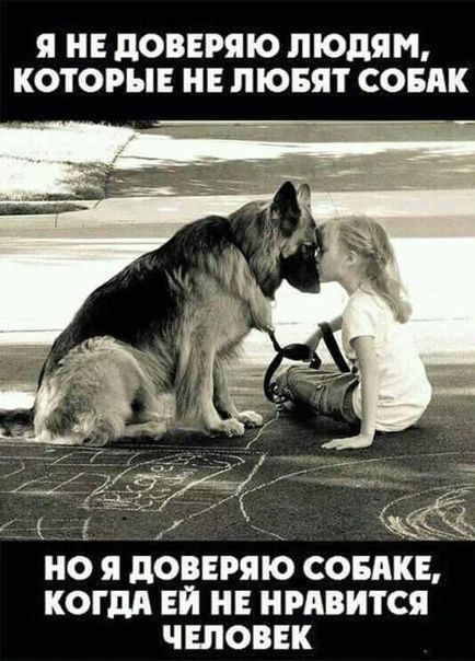 Я НЕ ПОВЕРЯЮ ЛЮДЯМ КОТОРЫЕ ЛЮБЯТ СОБАК но я доввряю СОБАКЕ КОГДА ЕЙ НЕ НРАВИТСЯ ЧЕЛОВЕК