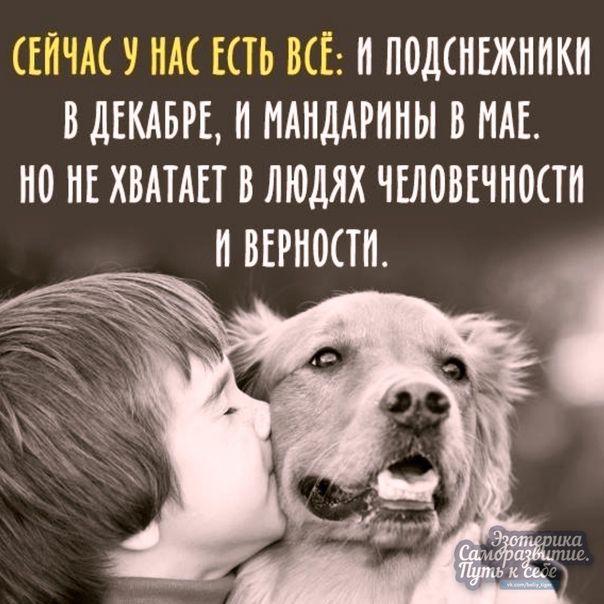 СЕЙЧАС У НМ ЕСТЬ ВСЁ И ПМСНЕЖННКИ ВДЕКАБРЕ П МАНДАРПИЫ В МБ 0 НЕ ХВАТАЕТ В ЛЮДЯХ ЧЕЛМЕЧНОСТН ВЕРИЩТП