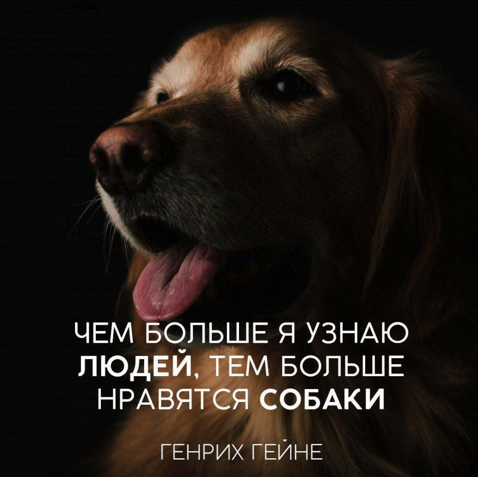 ЧЕМ О_ПЬШЕ Я УЗНАЮ