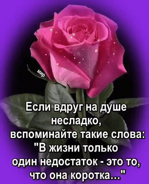 ЕслиЁдруг на душе _ несладко Х вспоминайте такие слова В жизни только один недостаток это то что она коротка
