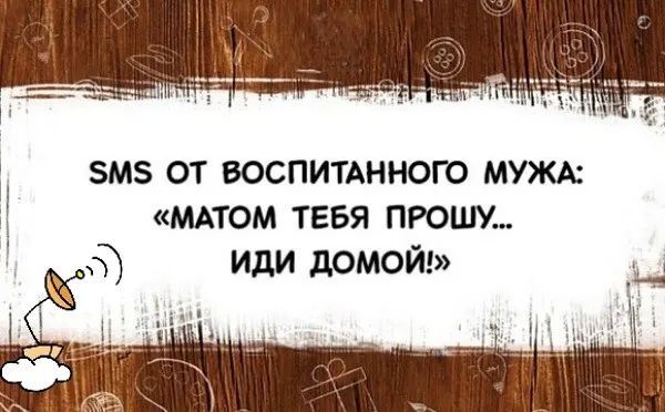 Привыкший воровать не пойдет их умолять. Матом тебя прошу иди домой. Матом тебя прошу. Матом прошу иди домой. Юмор матом прошу иди домой.