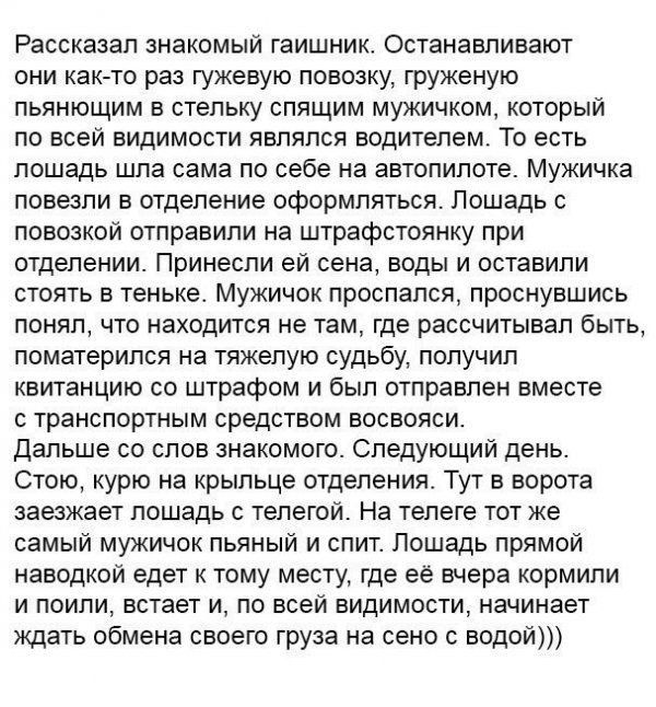 Рассказал знакомый гаишник Останавливают они как то раз гужевую повозку груженую пьянющим в стельку спящим мужичком который по всей видимости являлся водителем То есть лошадь шла сама по себе на автопилоте Мужичка повезли в отделение оформляться Лошадь повоэкой отправили на штрафстоянку при отделении Принесли ей сена воды и оставили стоять в теньке Мужичок прошелся проснувшись понял что находится 