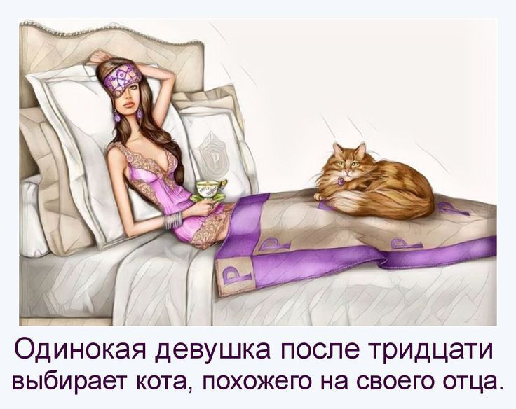 Одинокая девушка после тридцати выбирает кота похожего на своею отца