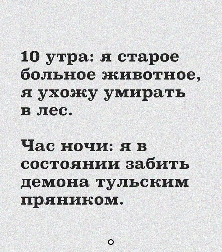 10 утра я старое больное животное я ухожу умирать в лес Час ночи я в состоянии забить демона тульским пряником
