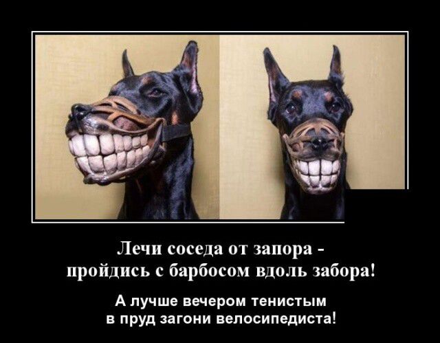 Лечи соседа 01 запора ирпйцись барбоспм вдоль забора Апучш вечером пиистым пруд шими непосипщисн