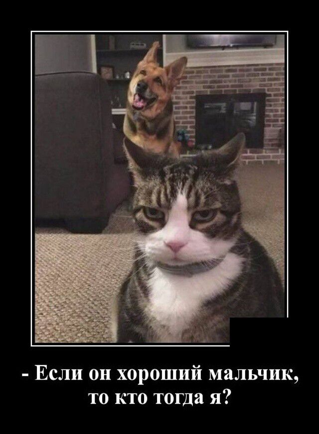 Если он хороший мальчик то кто тогда я
