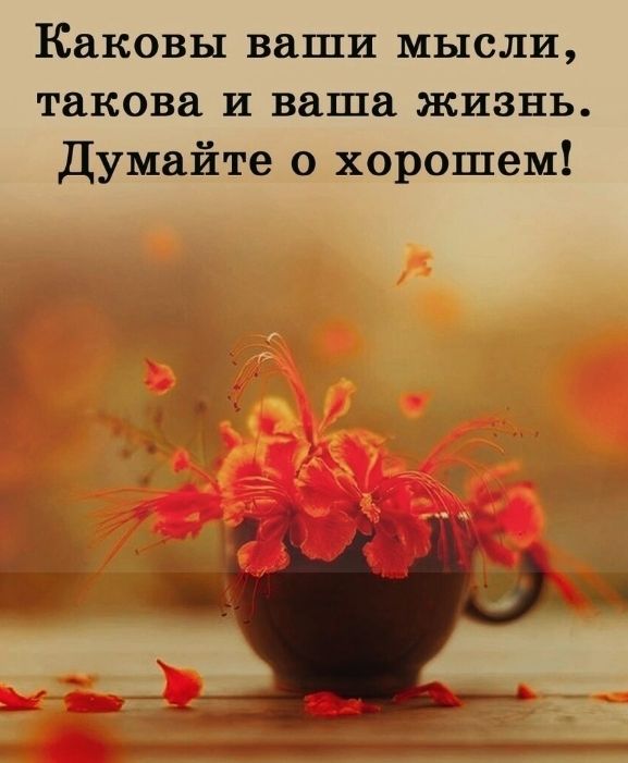 Каковы ваши мысли такова и ваша жизнь Думайте о хорошем