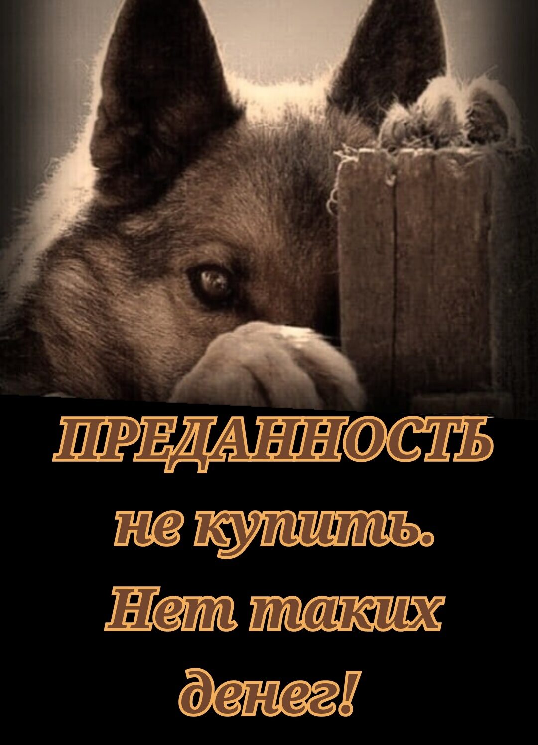 1ШРЕДАРЛНСТЬ денег