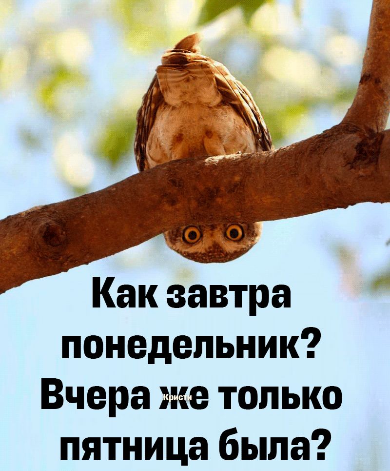 1 мы Как завтра понедельник Вчера же только пятница была