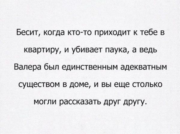 Бесит когда ктото приходит к тебе в квартиру и убивает паука а ведь Валера был единственным адекватным Сушесгвом в доме и вы еще столько МОГЛИ РЗССКЗЗВТЬ ДРУГ ДРУГУ