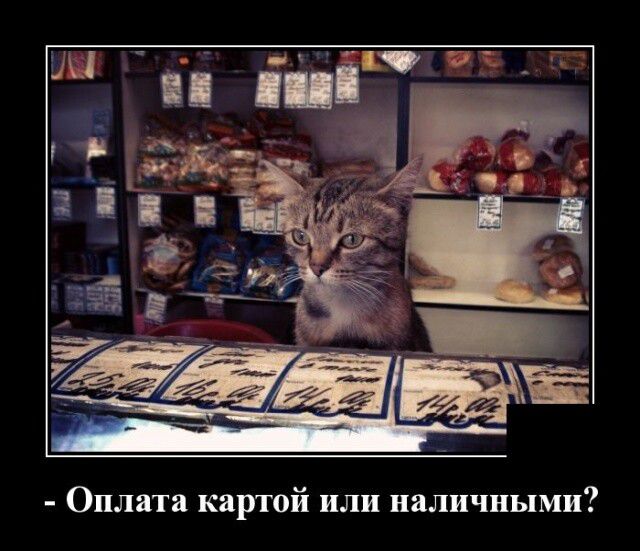 Оплата картой или наличными