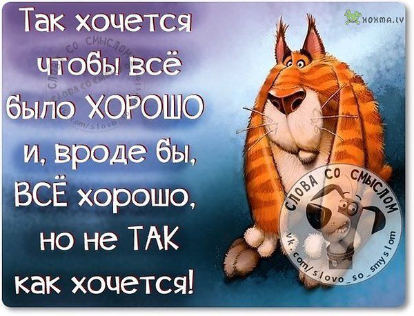 1 ЪЪЫп быпо ХОЁЮЪ ЦО И ООЦ Ы