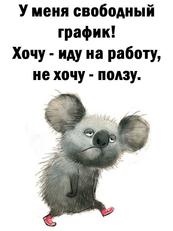 У меня свободный график Хочу иду на работу не хочу ползу