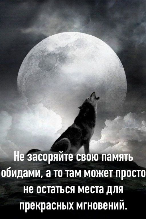 засоряйте обидами а то там может просто не остаться места для прекрасных мгновений