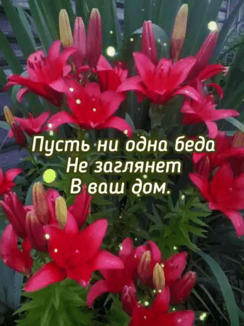 Пйсть ни Ъдна беда Не загляует а В ваш дом _