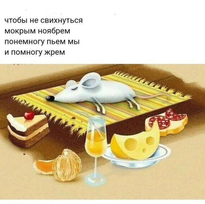 чтобы не свихнуться мокрым ноябрем понемногу пьем мы и помногу жрем